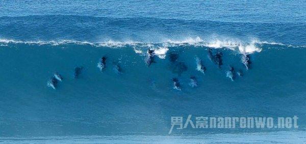 河南张家,九世同居,九百口人一起吃饭,过日子全靠“忍”